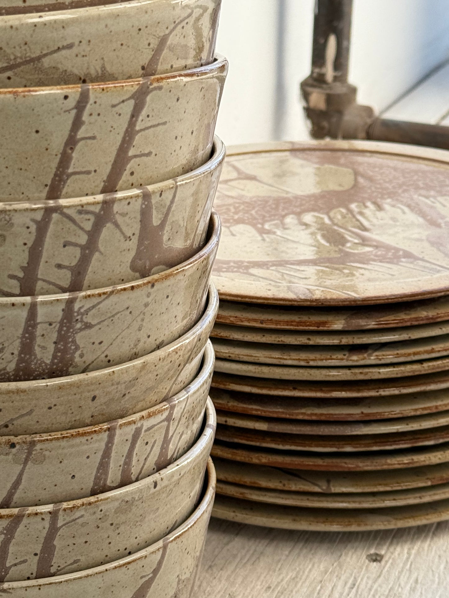 splatter set: plates